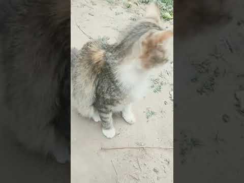 4 de octubre de 2021