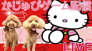 Apexランクとか参加◎×