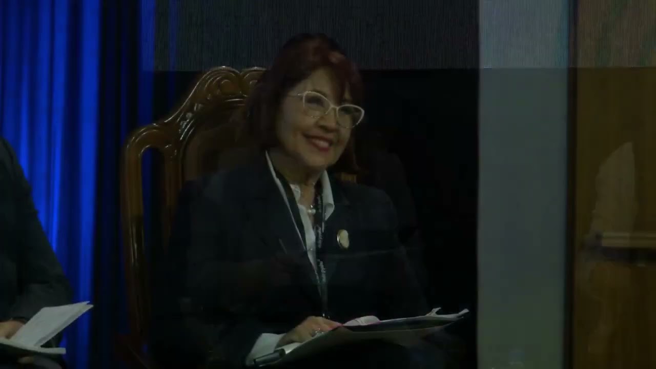 Panel: Alianzas estratégicas para la mejora de la formación docente y la calidad educativa