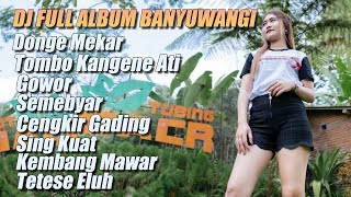 Download lagu Dj Banyuwangi Remix Slow Bass Divana Project - Dj 69 Project Full Album - Dj 69 Project Terbaru 2022 mp3