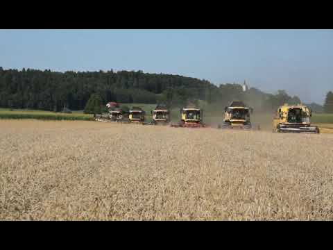 Ernteschluss Lohndrusch Trummer Sommer 2021