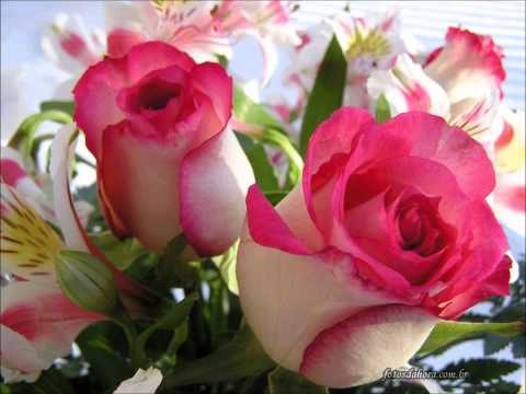 LOS JOAO  COLECCIÓN