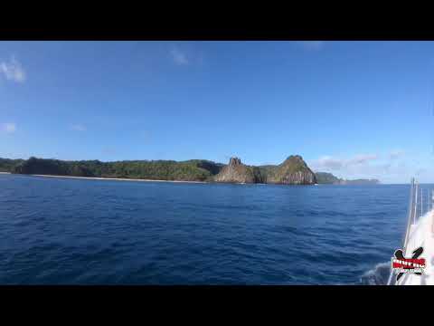 XDIVERS - FERNANDO DE NORONHA  - JULHO 2019