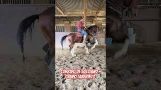 Corrido de solovino - grupo laberinto