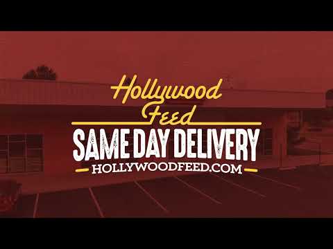 Hollywood Feed