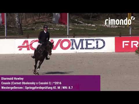 Qualifikation zum Bundeschampionat der 5-jährigen Springpferde in Westergellersen 2021