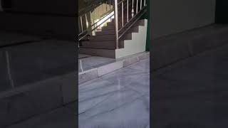 Download lagu video jalan sama cewek cantik #shorts #videoviral #tiktokvideo mp3 Download lagu video jalan sama cewek cantik #shorts #videoviral #tiktokvideo mp3