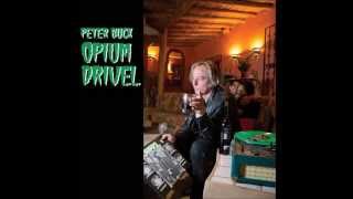Peter Buck - Welcome to the Party