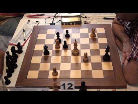 GM Kosic Dragan -- FM Zlatanovic Boroljub (Sport summer 2013- Paracin)