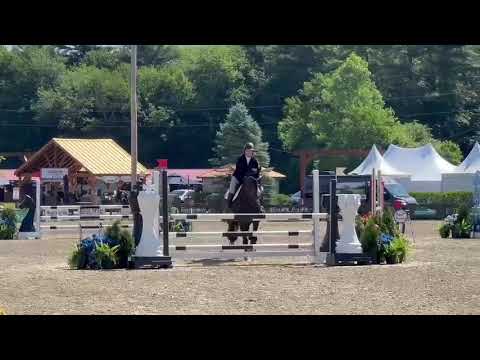 Magnus Zanzibar video 1