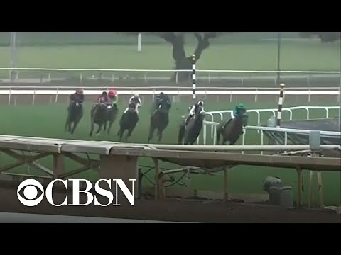 34th horse has died at Santa Anita Park racetrack in California
