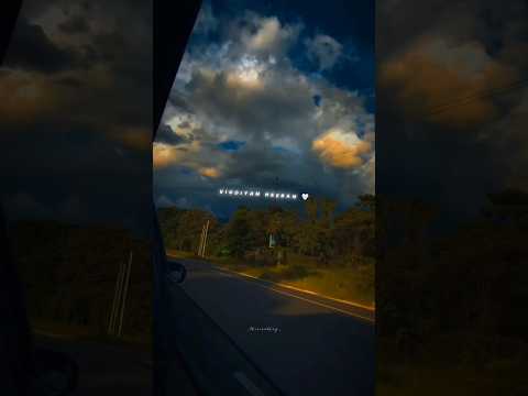 Vigdiyan heeran Slowed Reverbed Lyrics Status 💫 | Honey Singh #shorts #status #honeysingh