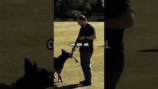 This is "After Life" best scene😂