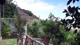 Cottage Levada - Madeira Islands - Rural Tourism Accommodation