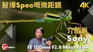 [閒聊] Sony FE 100mm F2.8 Macro 發表！