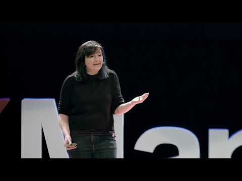 media video Stories of Mathematics