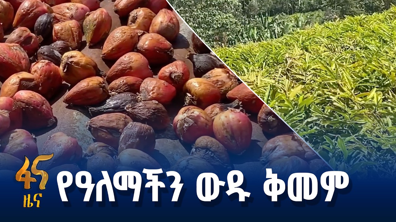 የቅመማ ቅመም ምርት በጎፋ ዞን