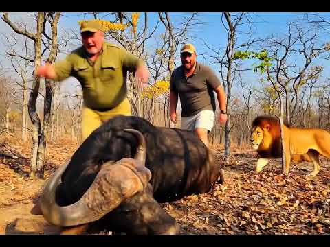 Grok video😂😂 AI