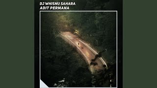 Download lagu Dj Whisnu Sahara mp3