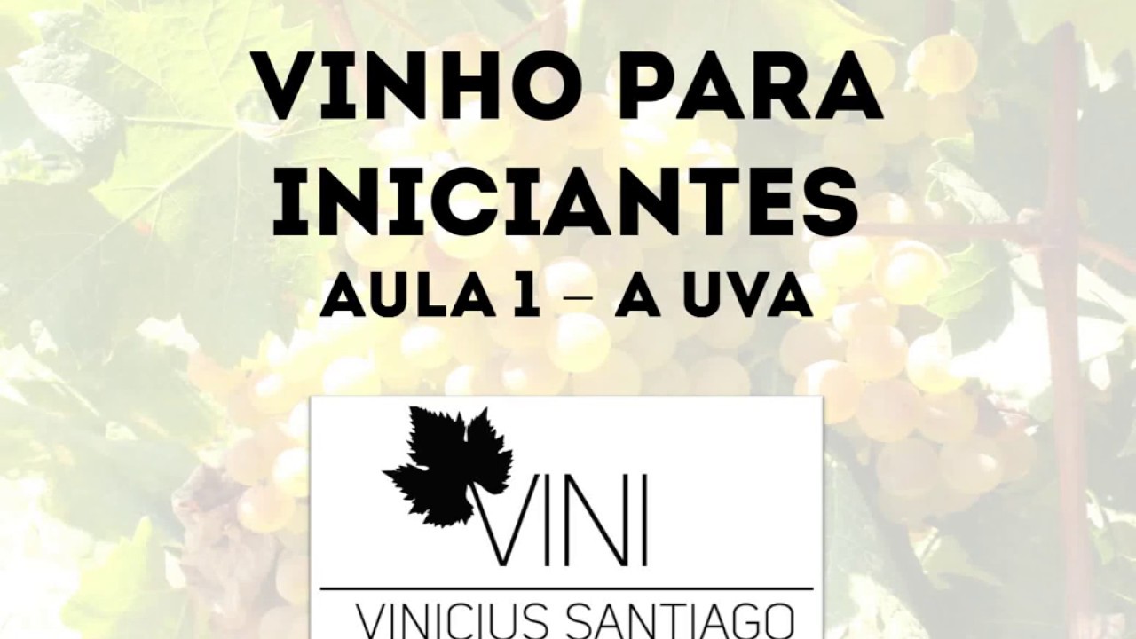 Vinho para Iniciantes - Aula 1 -  A UVA por @vinimirago