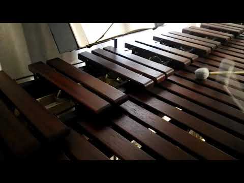 Inni di lode N°169: Salvati siam Marimba Cover