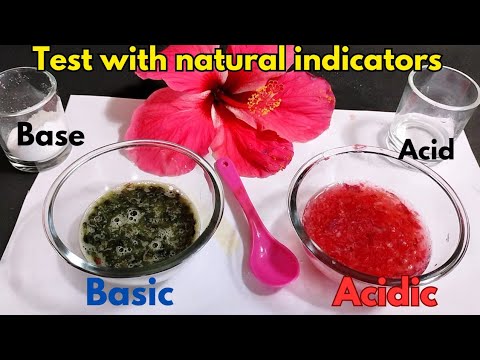 Acid-base test with natural indicators | litmus test | chemistry 🧪🧪