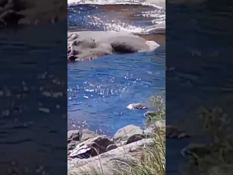 Río Panaholma, Cura Brochero, Traslasierras, Córdoba, Argentina.#curabrochero