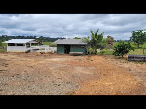 VENDE-SE Fazenda No Mato Grosso-MT, Localizada a 20 KM De Paranaíta Área Total É 397 Hectares