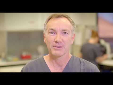 Semen Collection, Analysis and Preparation During Fertility Treatment