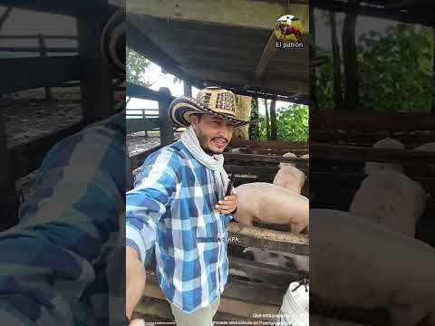 referendo revocatorio #puertonare #antioquia #colombia #magdalenamedio