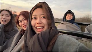 アフリカ初上陸！ライオンキングの世界へ｜サファリ・グランピング [ステイvlog #14: Johannesburg]