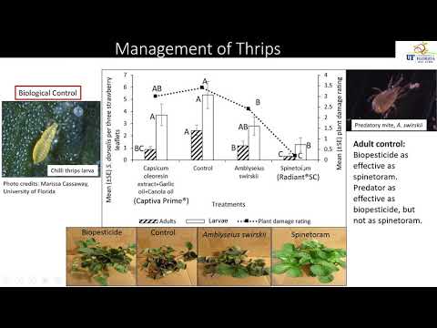 Dr. Sriyanka Lahiri, GCREC Entomology Update 2020