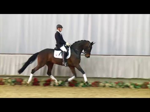 07 Sunday Jr.  Wallach v. Sunday - Gaudeamus