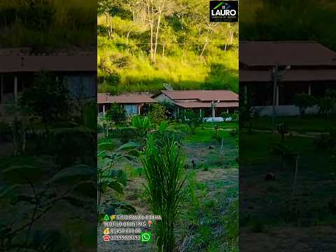 🌲🌾 SÍTIO PAVÃO 4.84HA TEÓFILO OTONI-MG 📍 💰 R$450.000.00 ☎️ 33999028393
