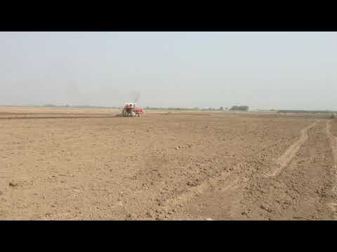 MF 385 | Cultivating 10 acre plot with 11tines cultivator |  MHS-S Farm Jogeerian