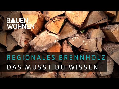 Brennholz aus dem Wald - Das solltest du über Feuerholz wissen I BAUEN & WOHNEN
