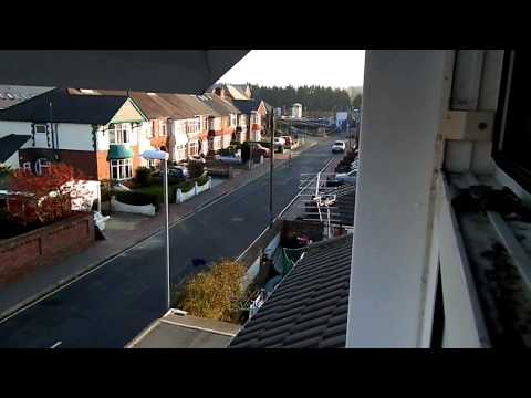 Speedo Run - Bugknong