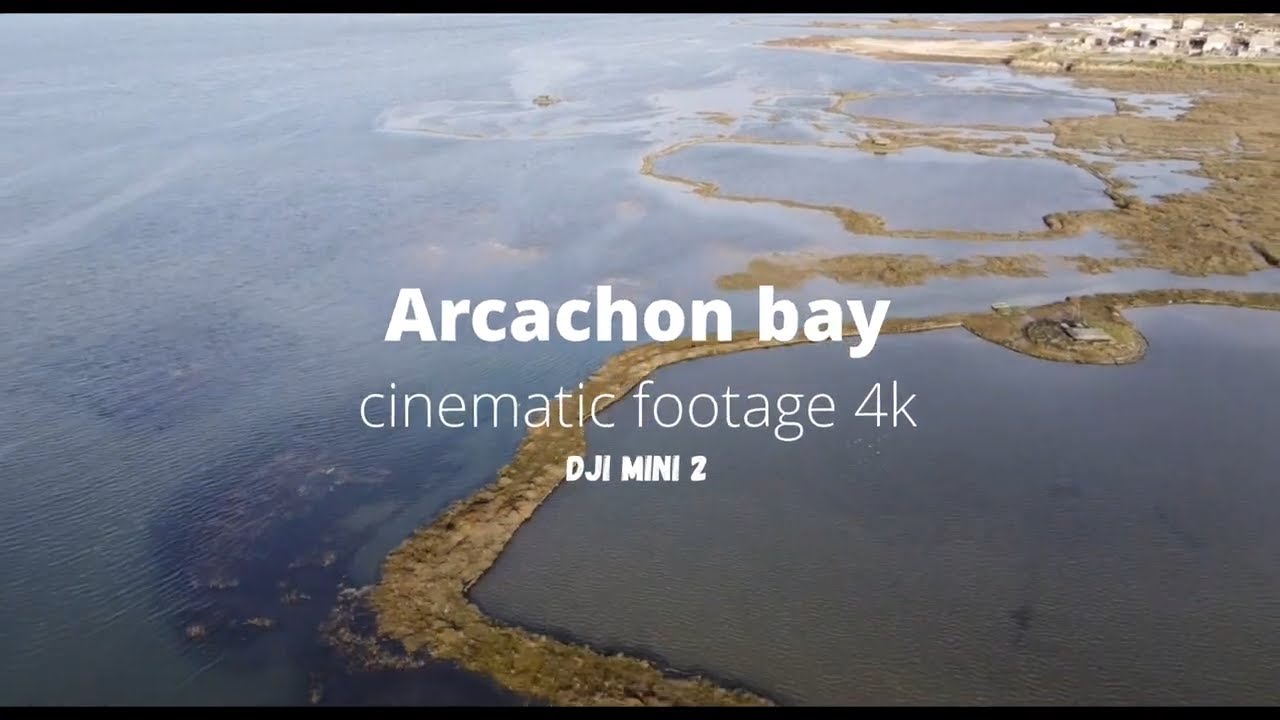Cliquer pour lancer la vidéo