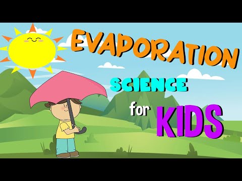 What is Evaporation | Science for Kids
