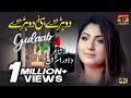 Jein Dehn Da Pyara Peshiyan Te Gulaab Official Video Thar Production