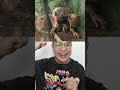 KALO KALIAN BERANI GAK LEWAT KOTAK ULAR Shortsvideo