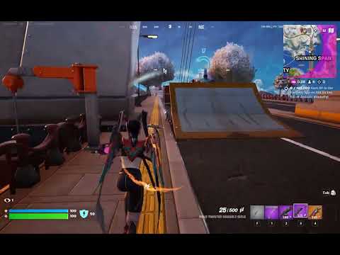 Fortnite 2024 12 29   12 02 50 303 Elimination DVR