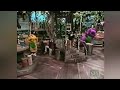 Barney Song Boom Boom Ain T It Great To Be Crazy We Ve Got Rhythm
