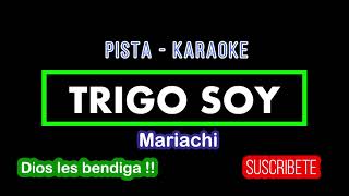 TRIGO SOY (PISTA KARAOKE) CON MARIACHI Acordes - Chordify