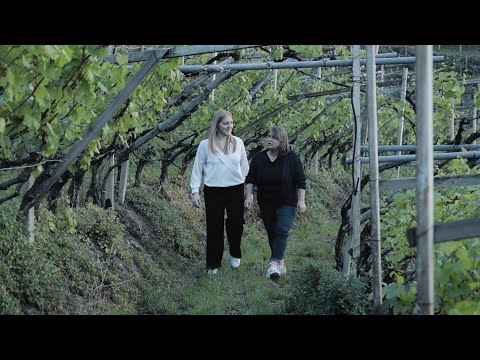 Tenuta Gottardi: passione e  tradizione nella Valle del Porfido