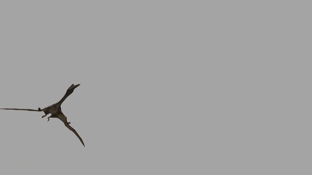 Quetzalcoatlus HD - 3d animated model 3D Model