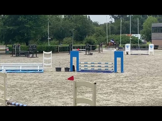 Newmarket Ruby Girl practice course