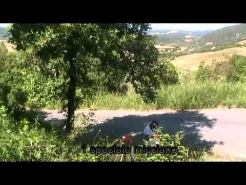 33° rally alta val di cecina 2011
