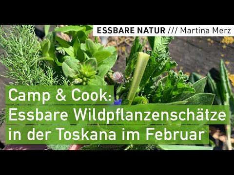 , title : 'Wildkräuterernte Frühjahr mit dem Camper, Toskana / Essbare Pflanzen sammeln. Bestimmen. Zubereiten.'