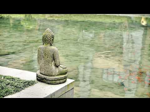 Ajahn Punnadhammo Right View   The First Path Factor Jan 10, 2021